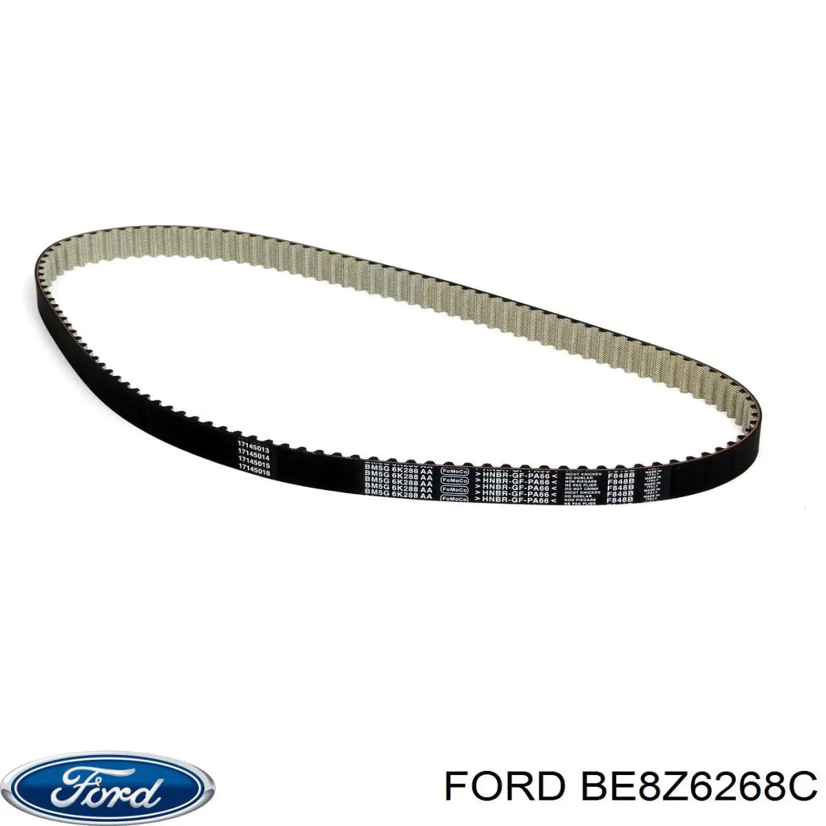 BE8Z6268C Ford correa distribucion