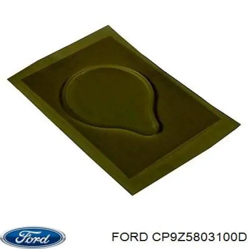 CP9Z5803100D Ford 