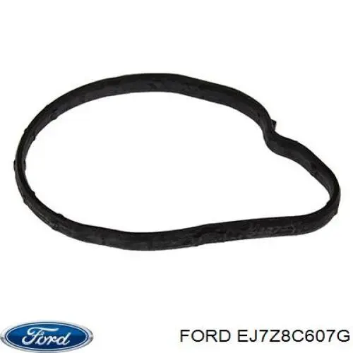 EJ7Z8C607G Ford difusor de radiador, ventilador de refrigeración, condensador del aire acondicionado, completo con motor y rodete