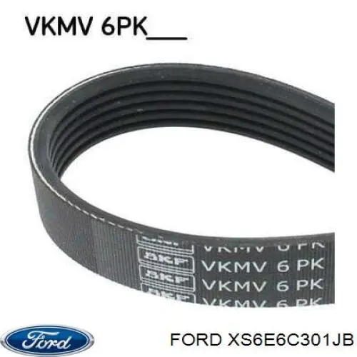 XS6E6C301JB Ford correa trapezoidal