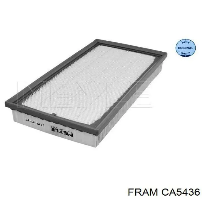 CA5436 Fram filtro de aire