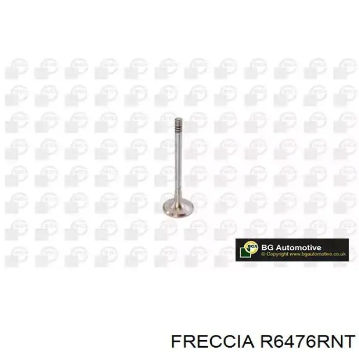 R6476RNT Freccia válvula de escape