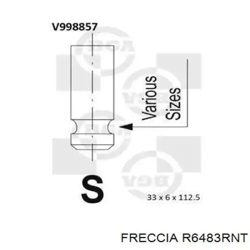 R6483RNT Freccia válvula de escape