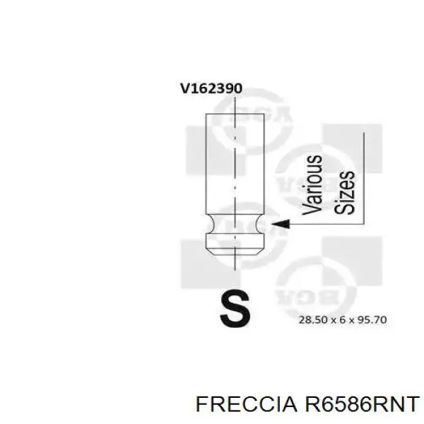 R6586RNT Freccia válvula de escape