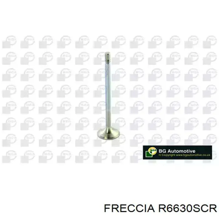 R6630SCR Freccia válvula de admisión