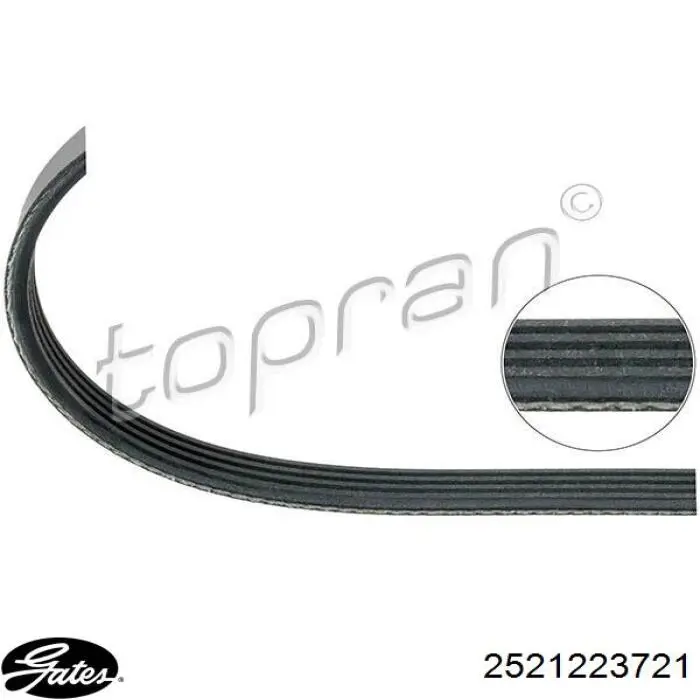 2521223721 Gates correa trapezoidal