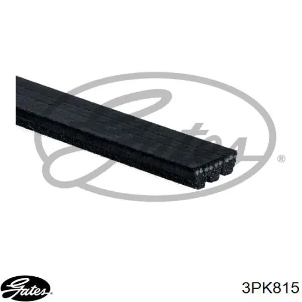 1001512 Ford correa trapezoidal