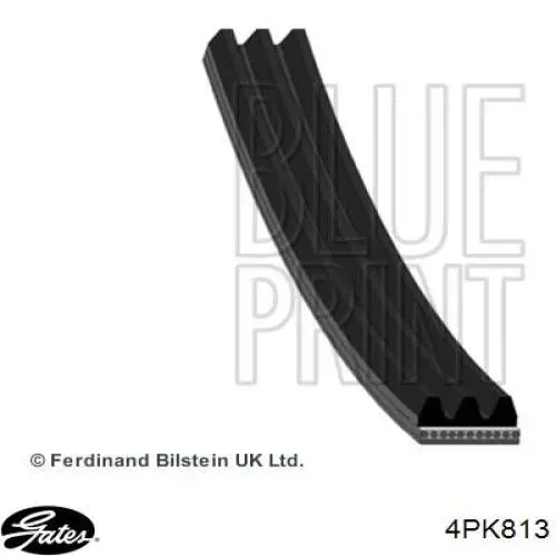 4PK813 Gates correa trapezoidal