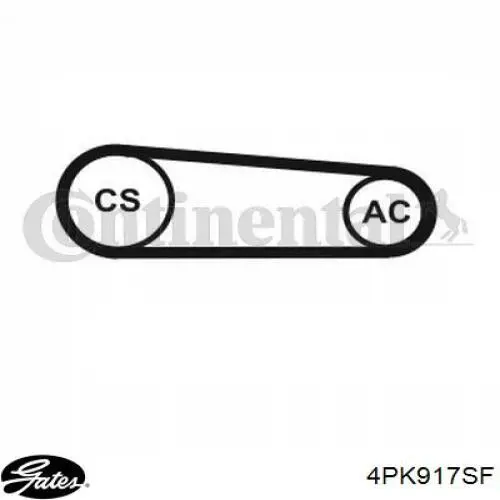 4PK917SF Gates correa trapezoidal