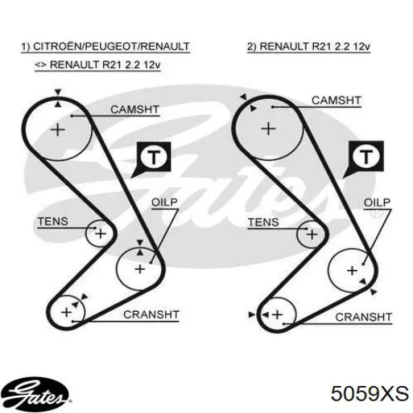 5059XS Gates correa distribucion