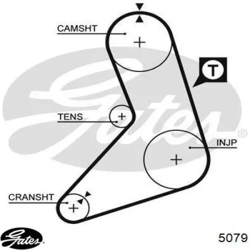 5079 Gates correa distribucion