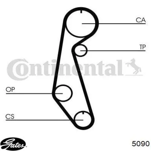 1302801M85 Nissan correa distribucion