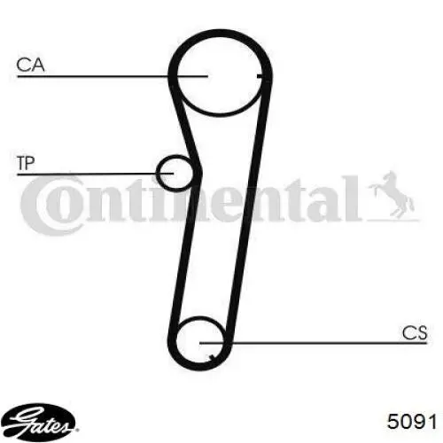 A382R075 SUN correa distribucion