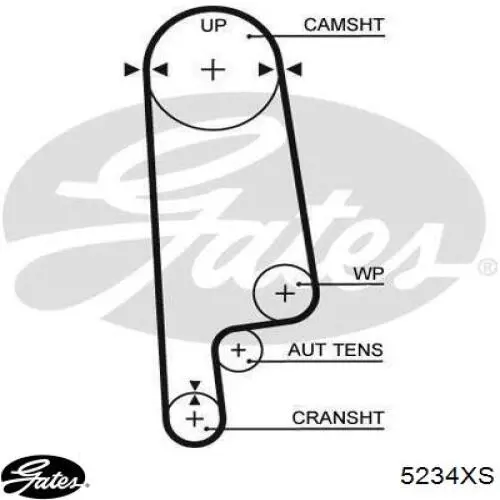  Correa distribucion para Rover 600 RH