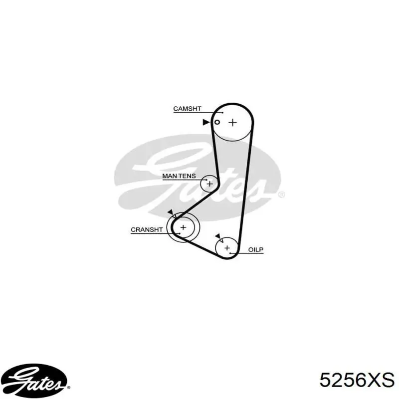 2431233150 Hyundai/Kia correa distribucion