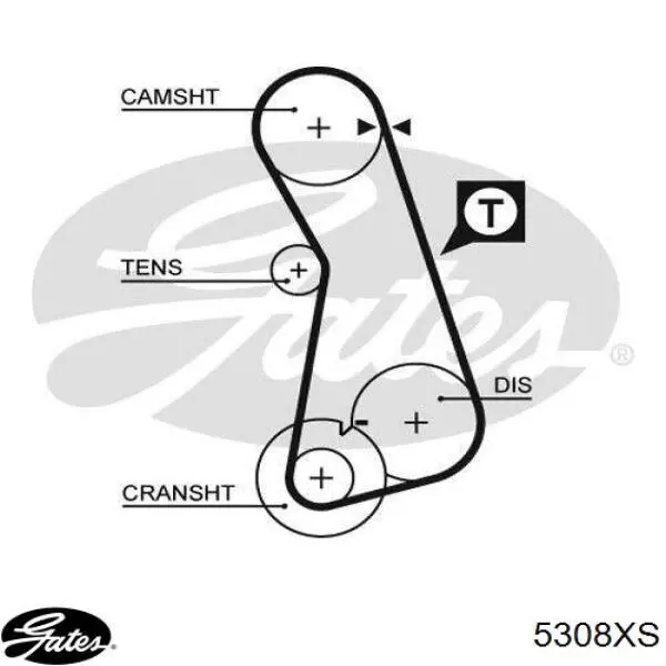 5308XS Gates correa distribucion