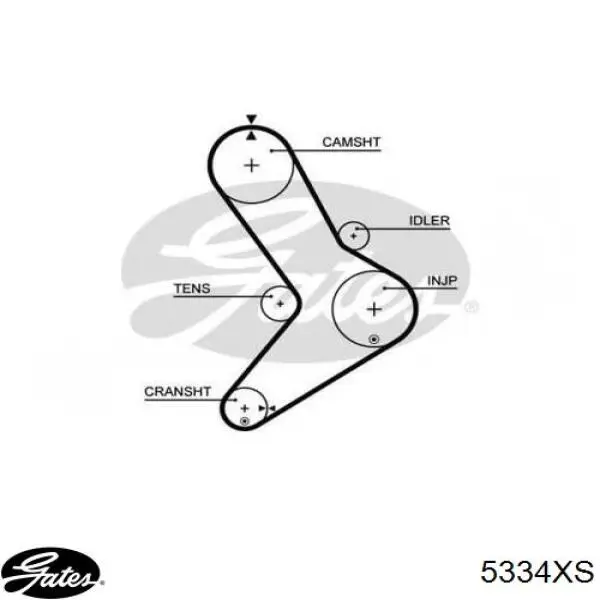 0816E5 Peugeot/Citroen correa distribucion