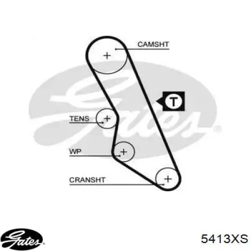 14730110 Fiat/Alfa/Lancia correa distribucion