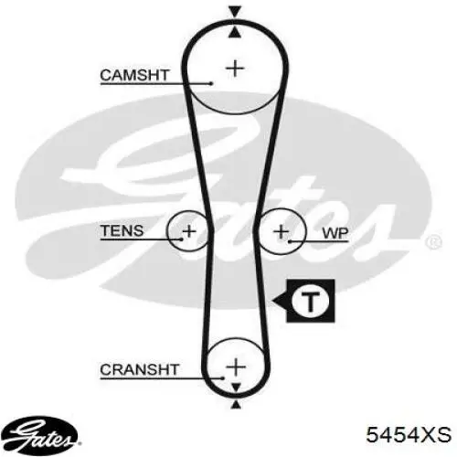 5454XS Gates correa distribucion