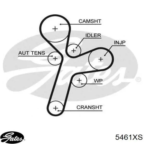 5636372 Opel correa distribucion