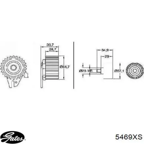 60816232 Fiat/Alfa/Lancia correa distribucion