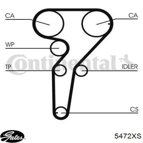 0060656340 Fiat/Alfa/Lancia correa distribucion