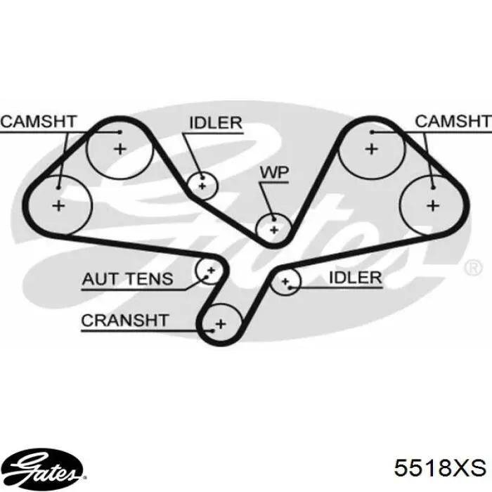 5518XS Gates correa distribucion