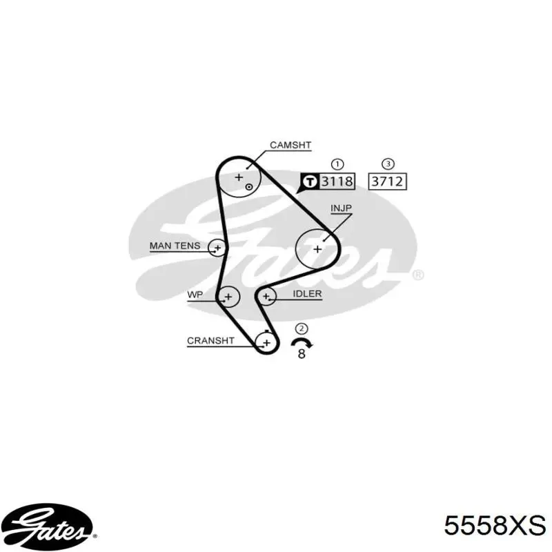 96375140 Peugeot/Citroen correa distribucion