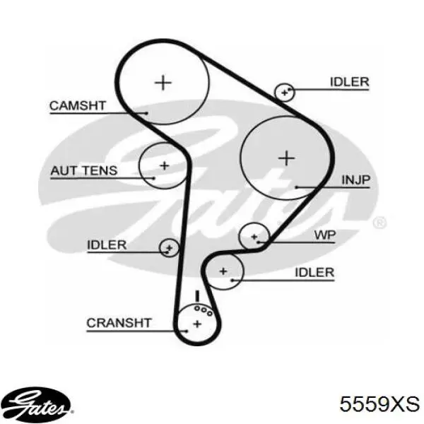 38109119M VAG correa distribucion