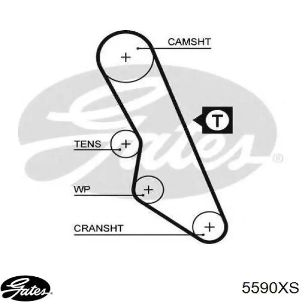 5590XS Gates correa distribucion