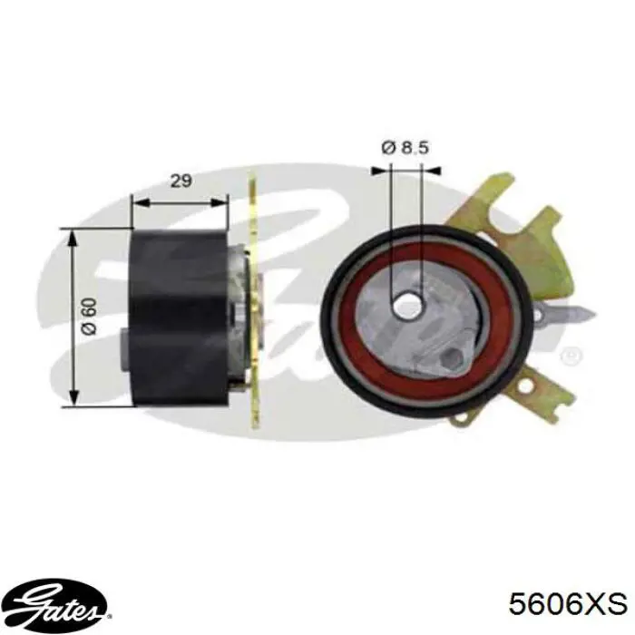 3M5Q6K288BA Ford correa distribucion