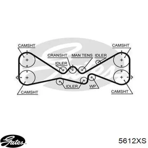 5612XS Gates correa distribucion