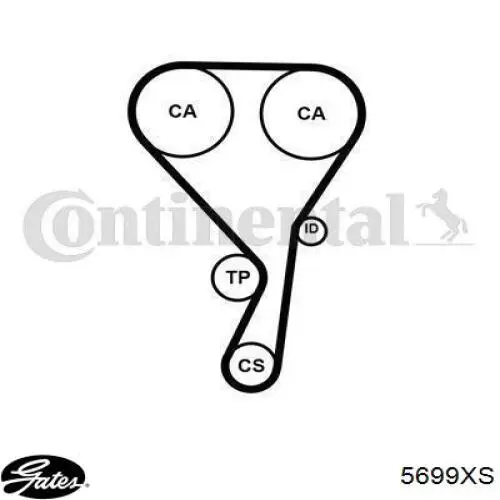 5699XS Gates correa distribucion