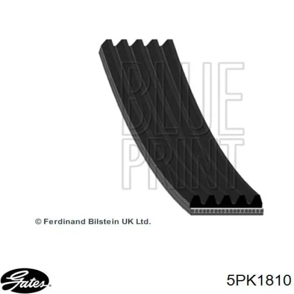 5PK1810 Gates correa trapezoidal