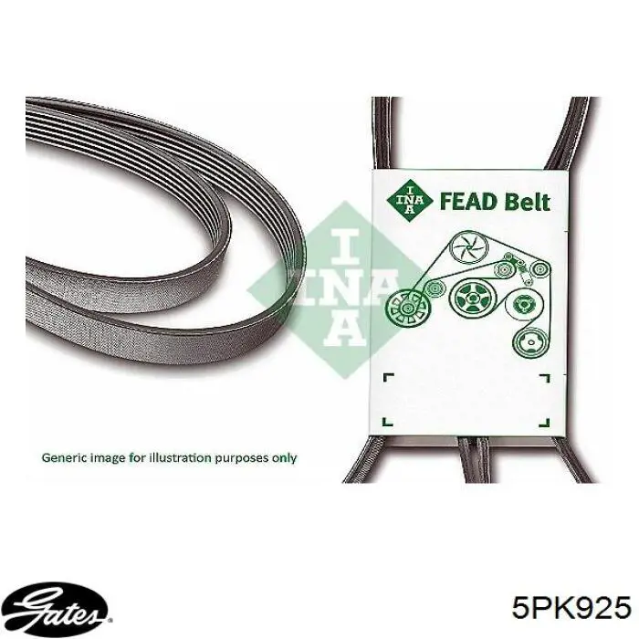 5PK925 Gates correa trapezoidal