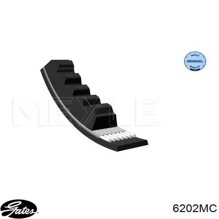 5924385 Fiat/Alfa/Lancia correa trapezoidal