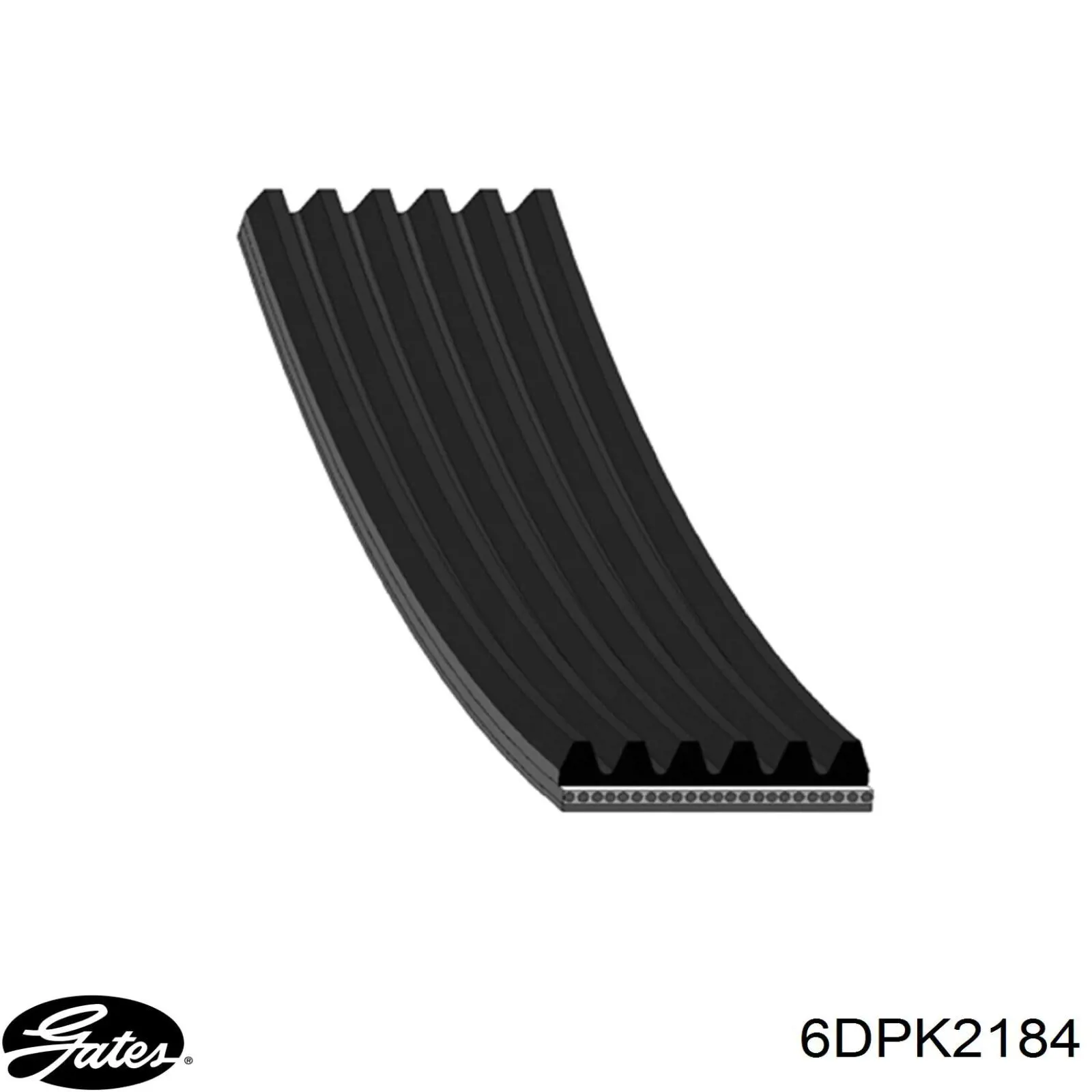 EJ328620BA Jaguar correa trapezoidal