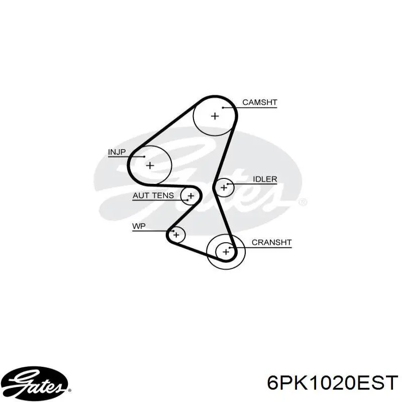 6PK1020EST Gates correa trapezoidal