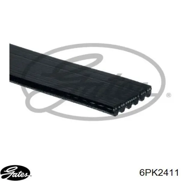 6PK2411 Gates correa trapezoidal