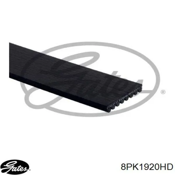 12411000 Freightliner correa trapezoidal