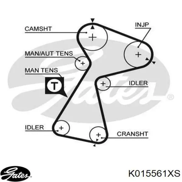 K015561XS Gates kit correa de distribución