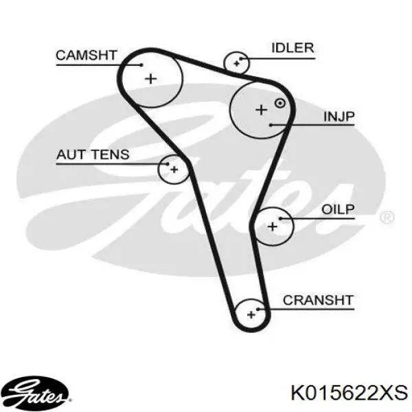 028198119E VAG kit correa de distribución