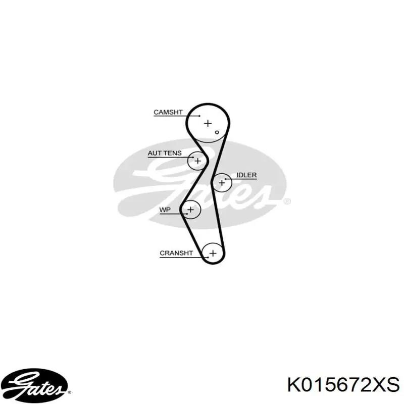 9M5Q8A615AA Ford kit correa de distribución