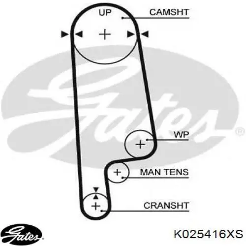 K025416XS Gates kit correa de distribución