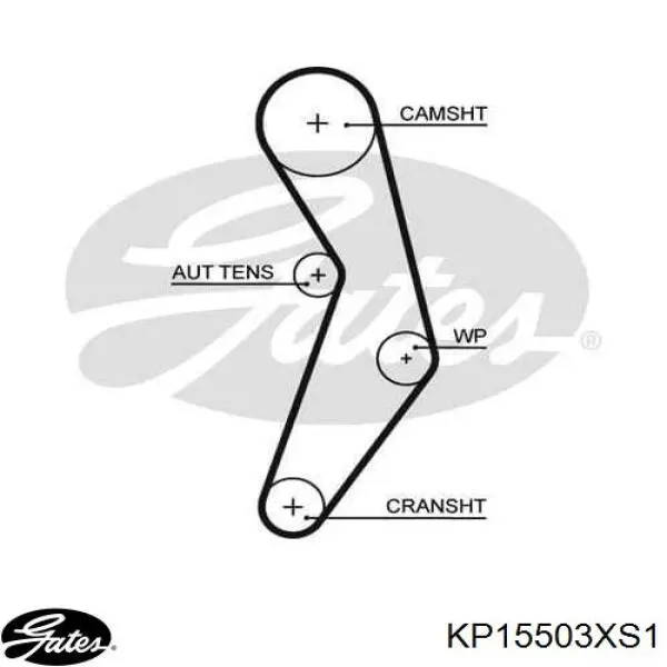 6000629054 Fiat/Alfa/Lancia kit correa de distribución