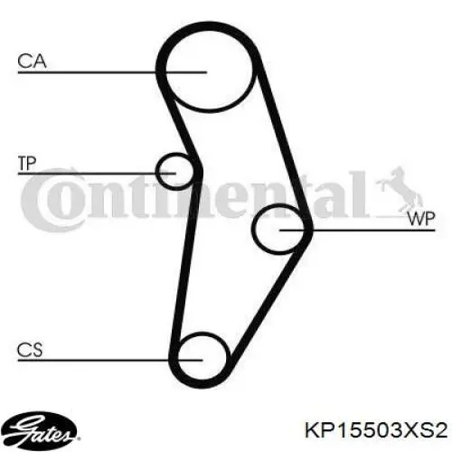 530 0228 30 Polcar kit correa de distribución