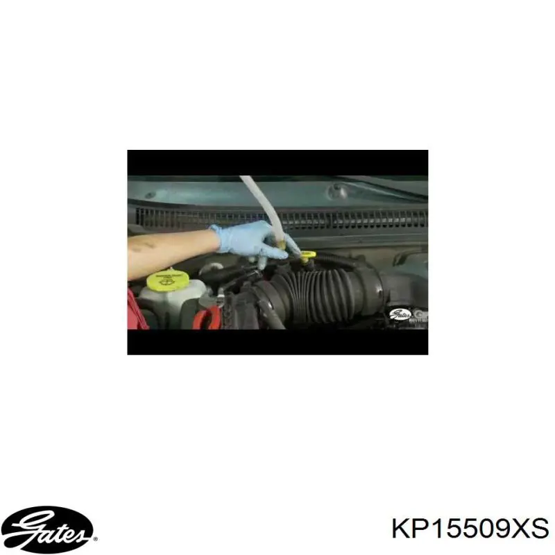 KP15509XS Gates kit correa de distribución