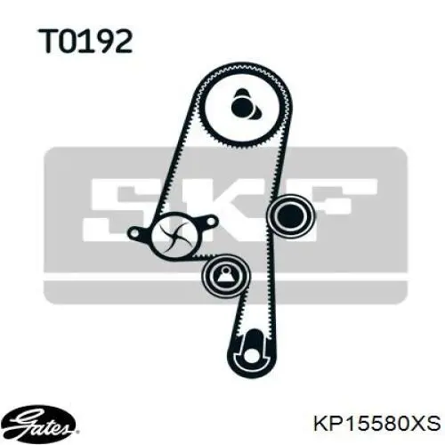 KP15580XS Gates kit correa de distribución