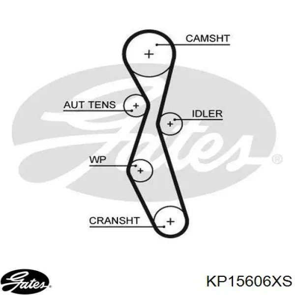  Kit correa de distribución para Peugeot 607 9D, 9U