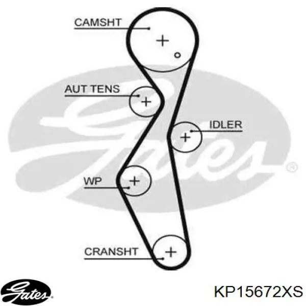 9M5Q8B596AA Ford kit correa de distribución